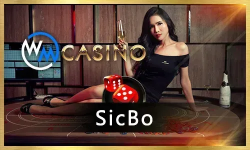 Player enjoying tg777 online casino games